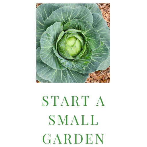 A Site Icon for Start A Small Garden website. A website for helping people start a small garden and sharing tips for growing vegetables at home.